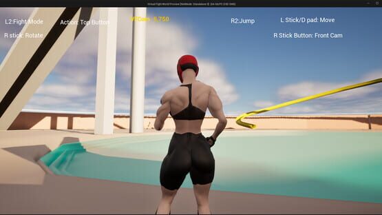 Screenshot Virtual Fight World