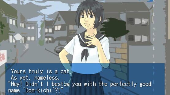 Screenshot My Black Cat