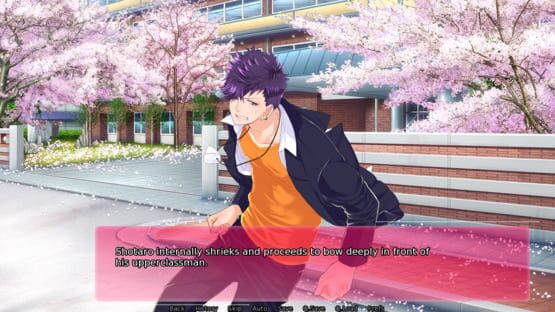 Screenshot Sakura Tempest