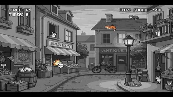 Cover Find the Cats