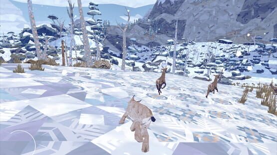Screenshot Shelter 2