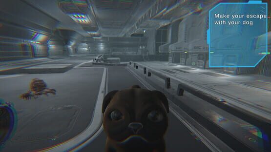 Screenshot Entity
