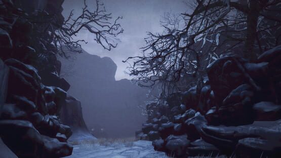 Screenshot Mind Biotics