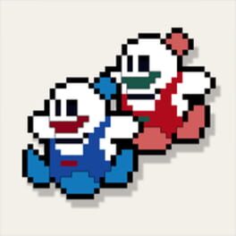 Cover Snow Bros. Classic
