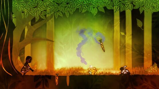 Screenshot Amphora