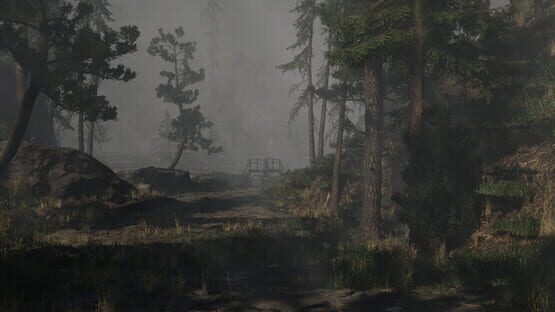 Screenshot Beyond the Pines