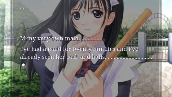 Screenshot Gay Mukankei: Kidnapping a Maid Has Nothing to Do With Being Gay!!