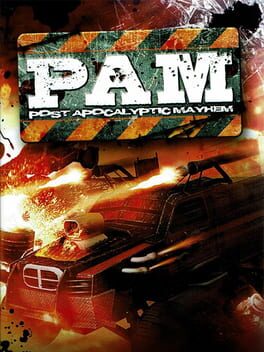 Cover Post Apocalyptic Mayhem