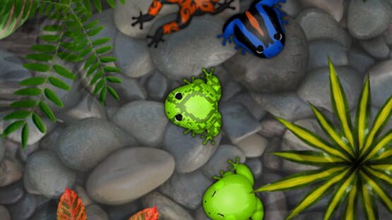 Screenshot Pocket Frogs