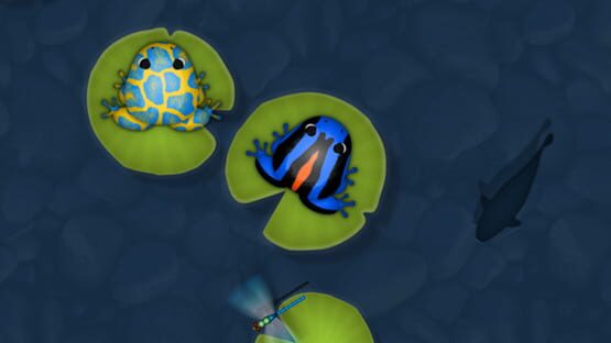 Screenshot Pocket Frogs