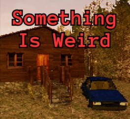 Cover Something is Weird