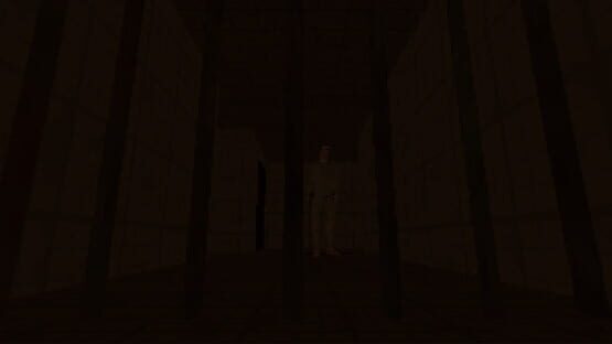 Screenshot Shadows of Delusion