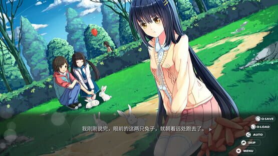 Screenshot Memory Oblivion Box