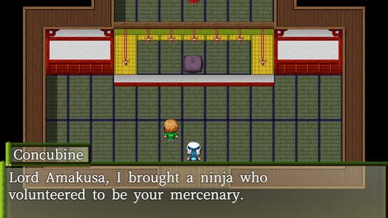Screenshot Ninja Infiltration