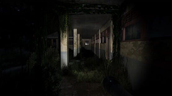 Screenshot Pulang Insanity: Director's Cut