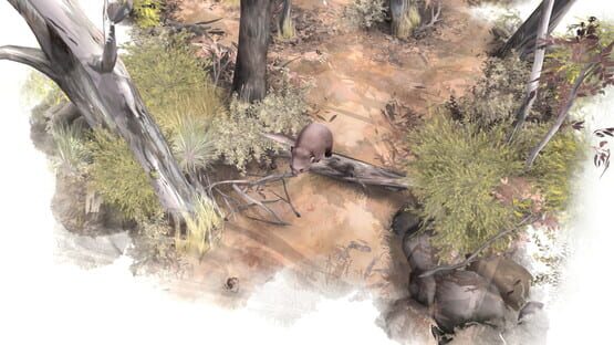 Screenshot Paperbark