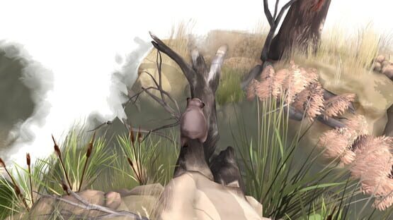Screenshot Paperbark