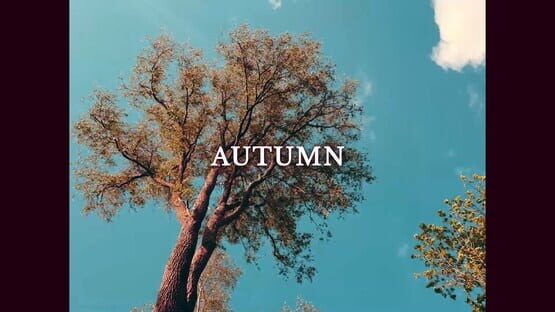 Screenshot Screenplay in Autumn