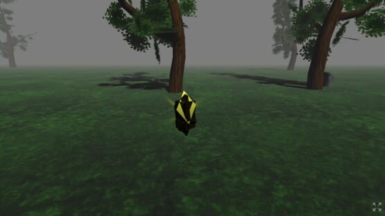 Screenshot Schism