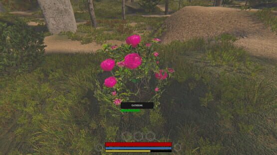 Screenshot The Tovanian Stones