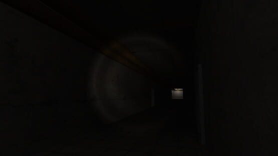 Screenshot Slender: The Nine Pages