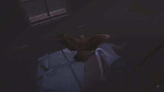 Screenshot Sparrow
