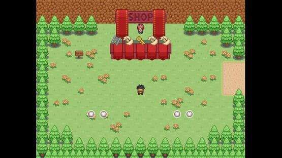 Screenshot Hero of Cursed Island