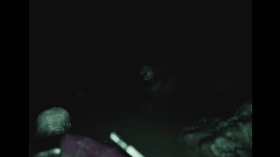 Screenshot Raccoon on a Boat