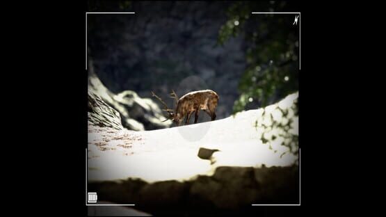 Screenshot Raccoon on a Boat