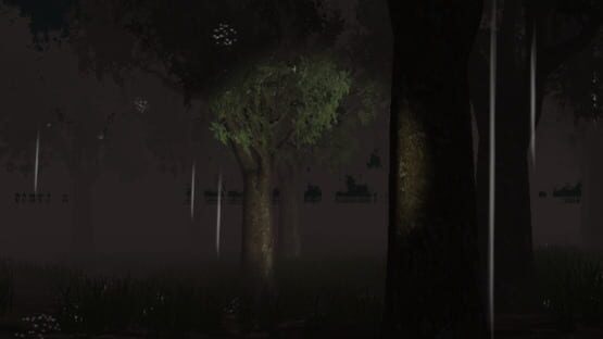 Screenshot Slender Man: Downpour