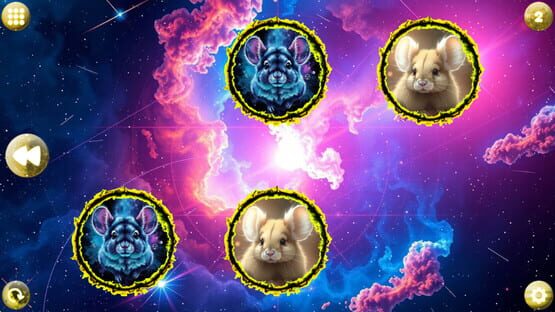 Screenshot Space Memory: Chinchillas