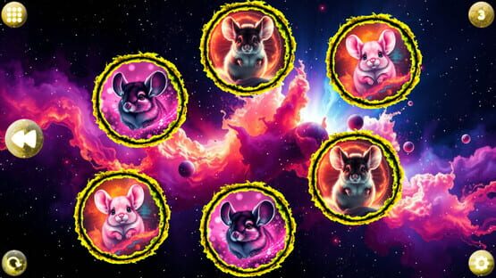 Screenshot Space Memory: Chinchillas