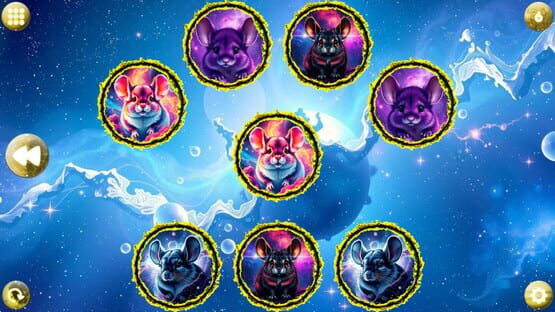Screenshot Space Memory: Chinchillas