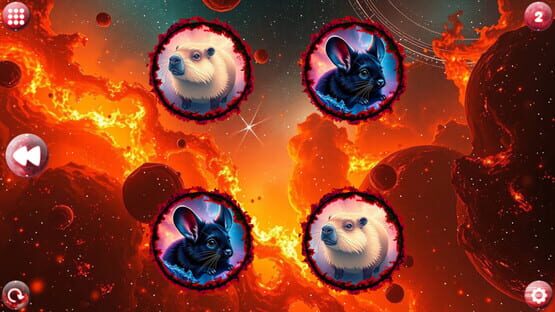 Screenshot Space Memory: Rodents