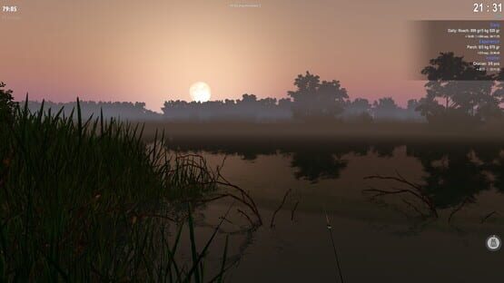Screenshot Fisher Online