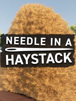 Cover Needle In A Haystack