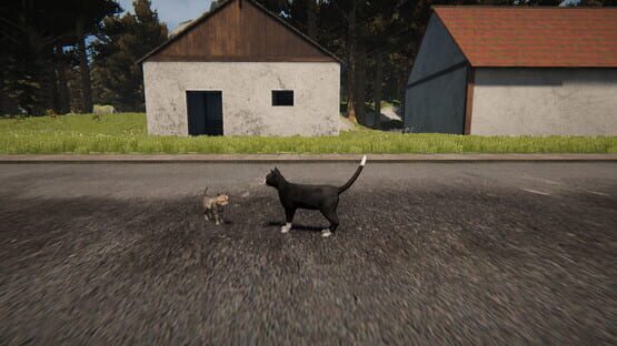 Screenshot Cat Life