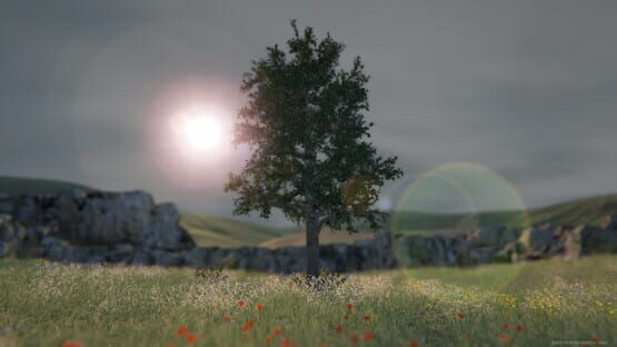 Screenshot Tree Simulator 2020