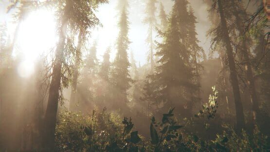 Screenshot Rot: Purgatory Hill