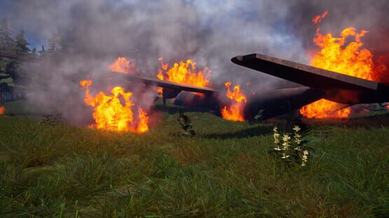 Screenshot Forest of Fear