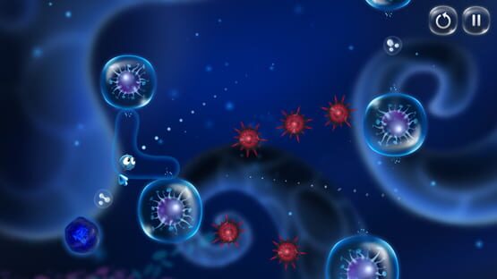 Screenshot Cyto