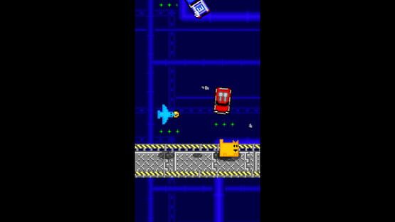 Screenshot Box Cat Bash