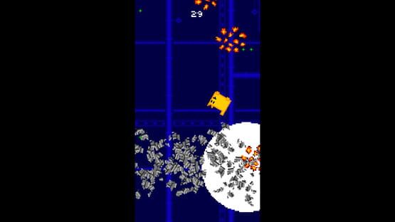 Screenshot Box Cat Bash