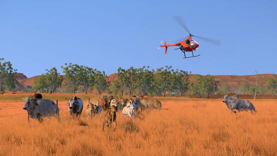 Screenshot Pasture: The Livestock Simulator