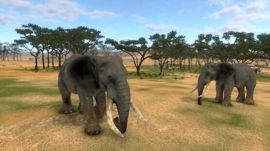 Screenshot Savanna Shot VR