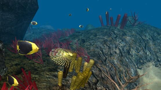Screenshot OceanDive