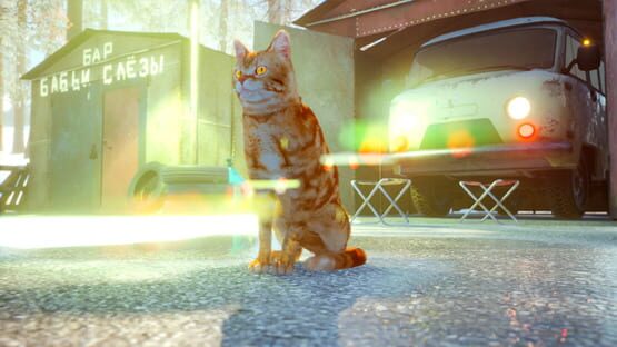 Screenshot Russian Cat Simulator