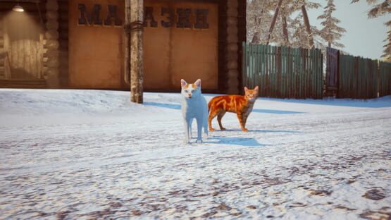 Screenshot Russian Cat Simulator