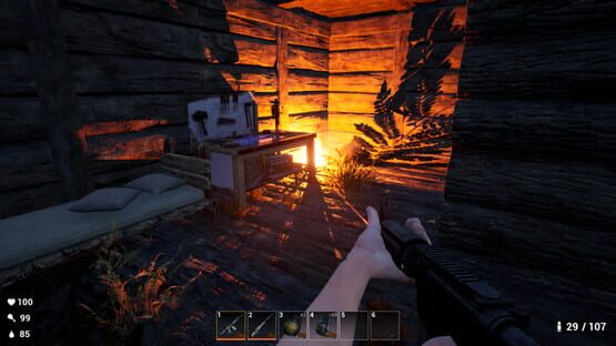 Screenshot Survival: Lost Way