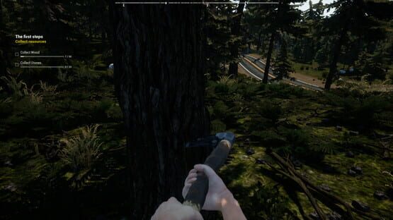 Screenshot Survival: Lost Way